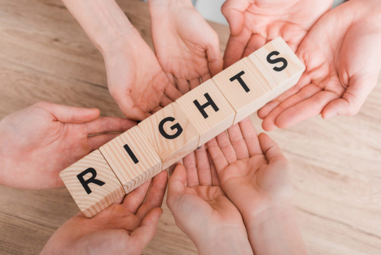 top view of group holding wooden cubes with rights lettering
